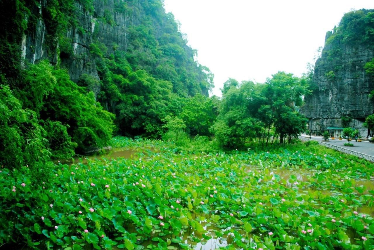 Tamcoc Viet Tan Homestay & Garden Ninh Binh Exterior photo