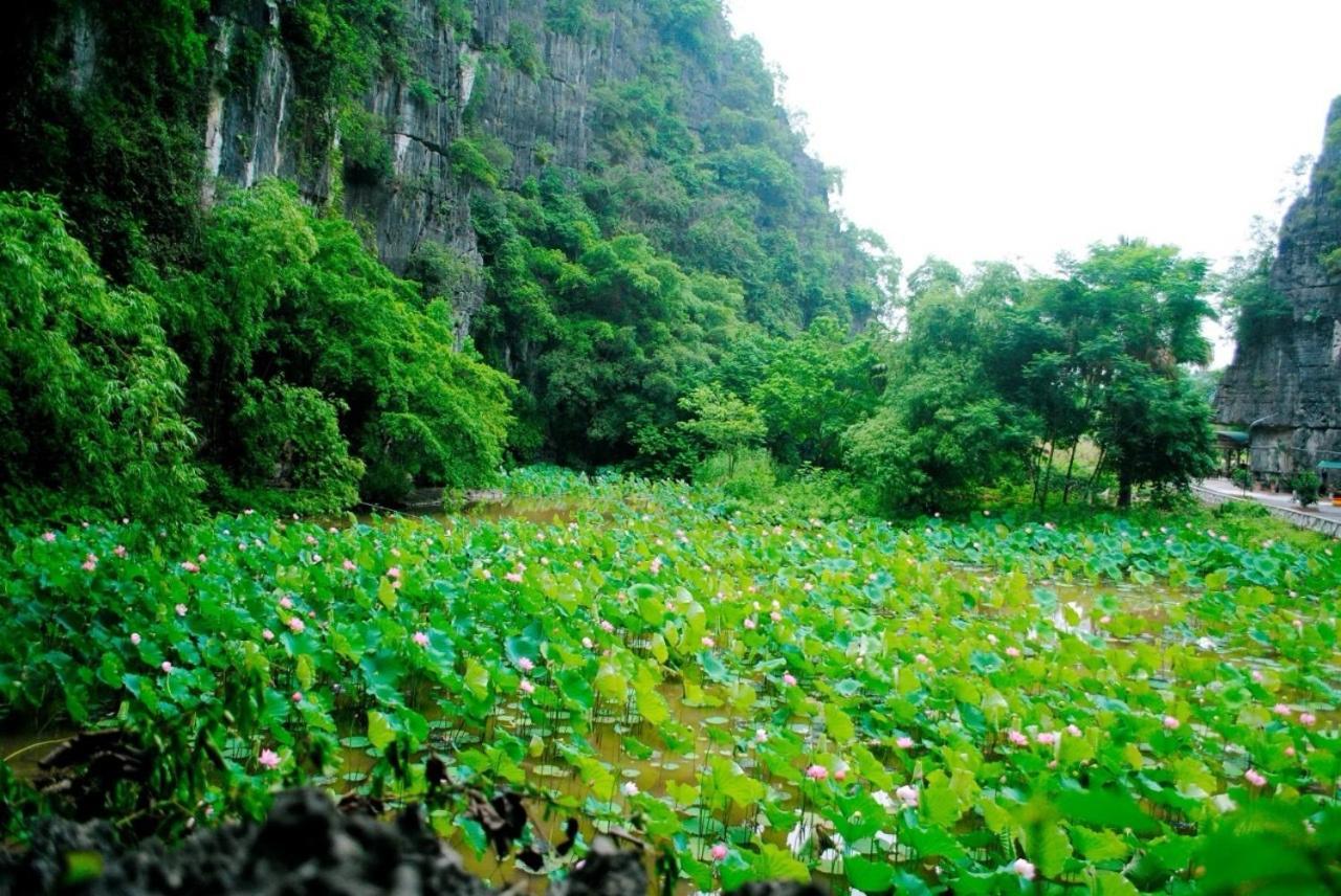 Tamcoc Viet Tan Homestay & Garden Ninh Binh Exterior photo